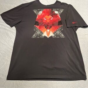 Nike LeBron James Men’s XL T-Shirt Optic Lion LBJ Dri-Fit